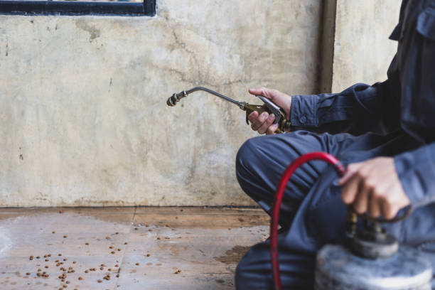 Best Local Pest Control Services  in Valatie, NY